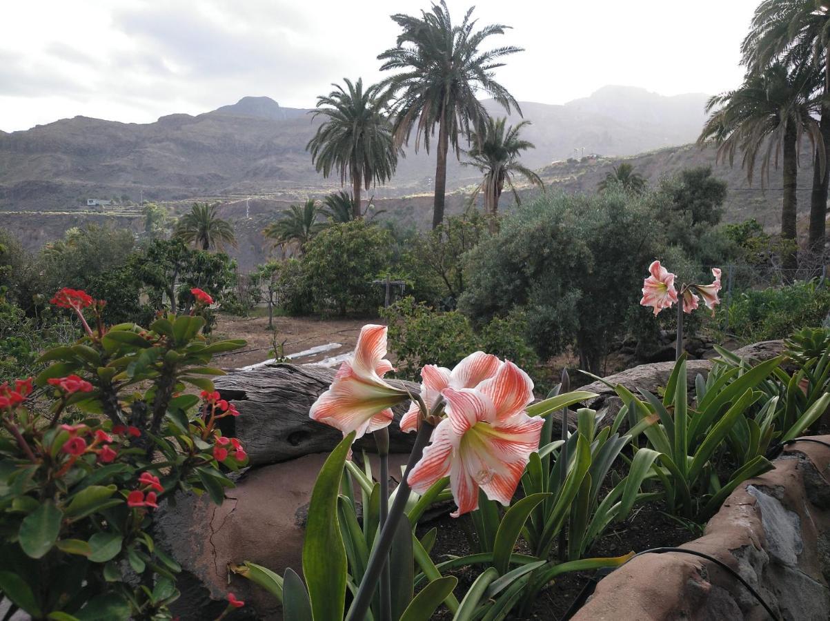 Santa Lucia Las Casas De La Rueda - La Casita المظهر الخارجي الصورة