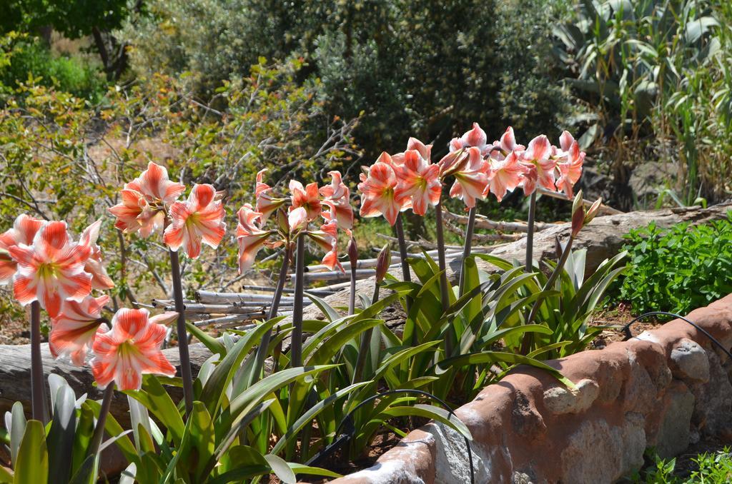 Santa Lucia Las Casas De La Rueda - La Casita الغرفة الصورة