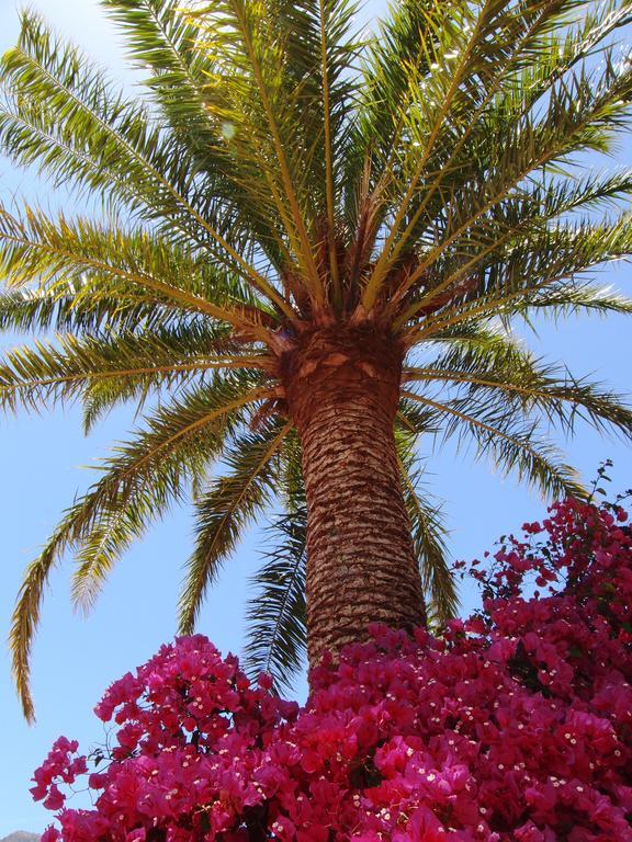 Santa Lucia Las Casas De La Rueda - La Casita المظهر الخارجي الصورة